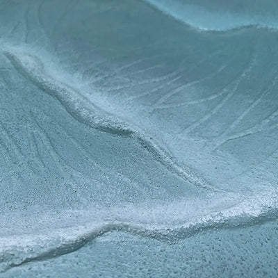 Washed Ashore