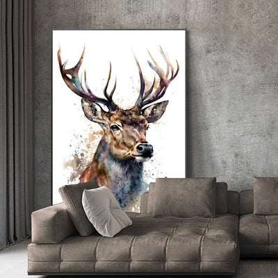 Deer
